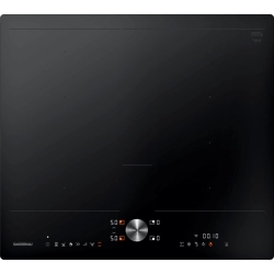 Gaggenau CI262105 - Électroménager de Qualité | Nettoland.ch