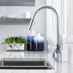Hansgrohe Focus Einhebel-Küchenmischer 240 mit