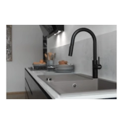 Franke Armaturen und Seifenspender -Pescara Slide-in Hochdruck-