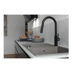 Franke Armaturen und Seifenspender -Pescara Slide-in Hochdruck-