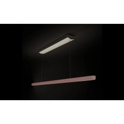 Bora-Horizon Pendelleuchte move - roségold-