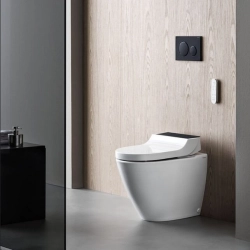 Geberit -Geberit AquaClean Tuma Comfort WC-Komplettanlage