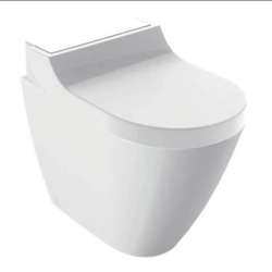 Geberit-146.310.SI.1-
