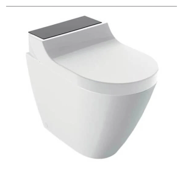 Geberit-146.310.SJ.1-