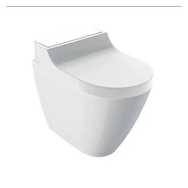Geberit-146.320.11.1-