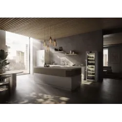 Liebherr -WPsd 5252 Vinidor-