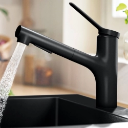 Hansgrohe Zesis M33 Küchenarmatur, ausziehbar, schwenkbar