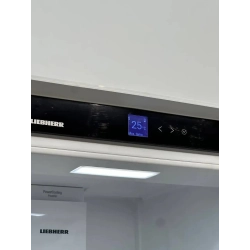 Liebherr -ICNe 5103-