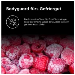 Haier H4F306WAH1 Gefrierschrank & Tiefkühler | Nettoland