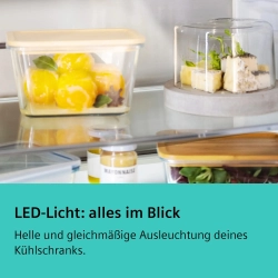 Siemens KG39N4X1F Réfrigérateurs indépendants - Nettoland.ch