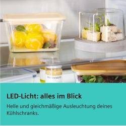 Siemens KG39E8IBA Kühlschränke Freistehend | Nettoland