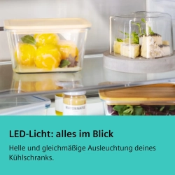 Siemens KG39NVX2G Kühlschränke Freistehend | Nettoland