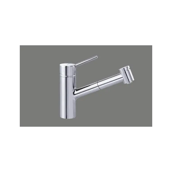 Suter Devo 40.001.648 Auszugsbrause Chrom